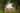 Emblems Collection Announces First Flagship With Lucknam Park Hotel & Spa