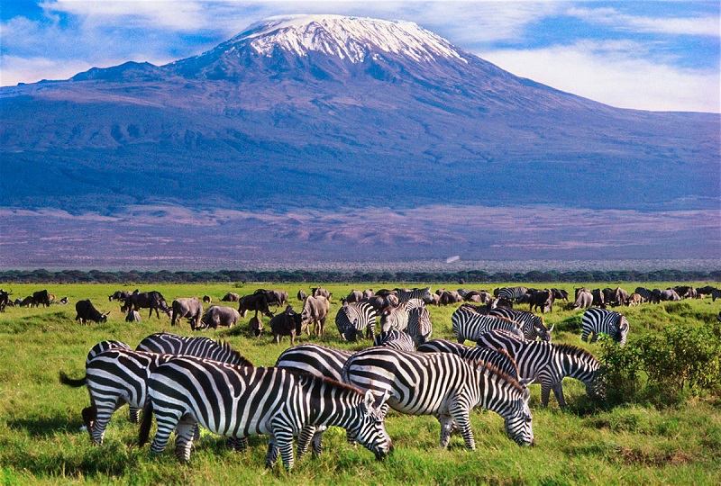 Kenya's Travel Sector to Hit KSh1.2TN in 2025
