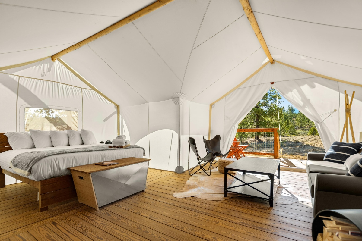 World of Hyatt, Reese's Book Club, and Under Canvas