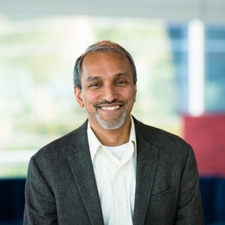 Ganesh Jayaram, American’s Chief Digital and Information Officer.
