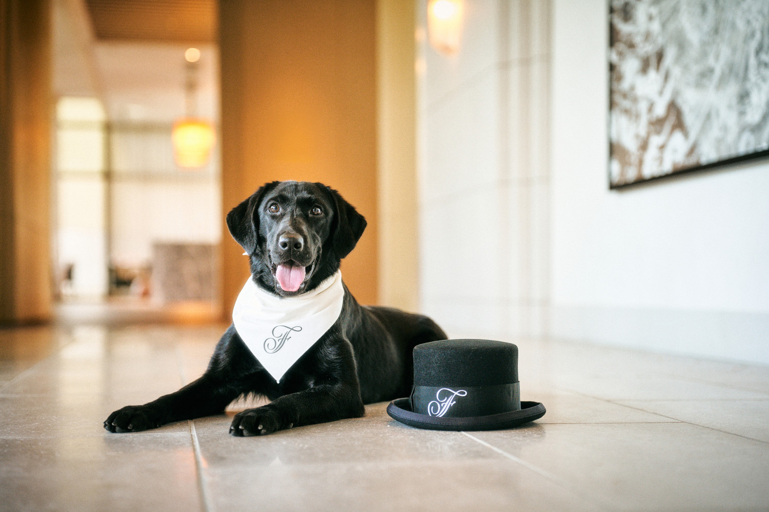 Serene, Chief Happiness Officer
