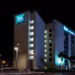 ibis