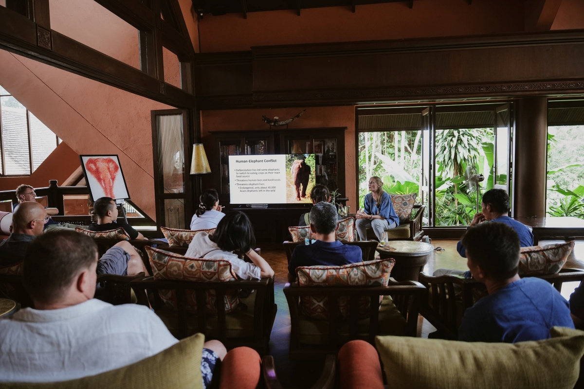 Anantara Golden Triangle Marks World Elephant Day with Educational Activities and Cultural Tributes