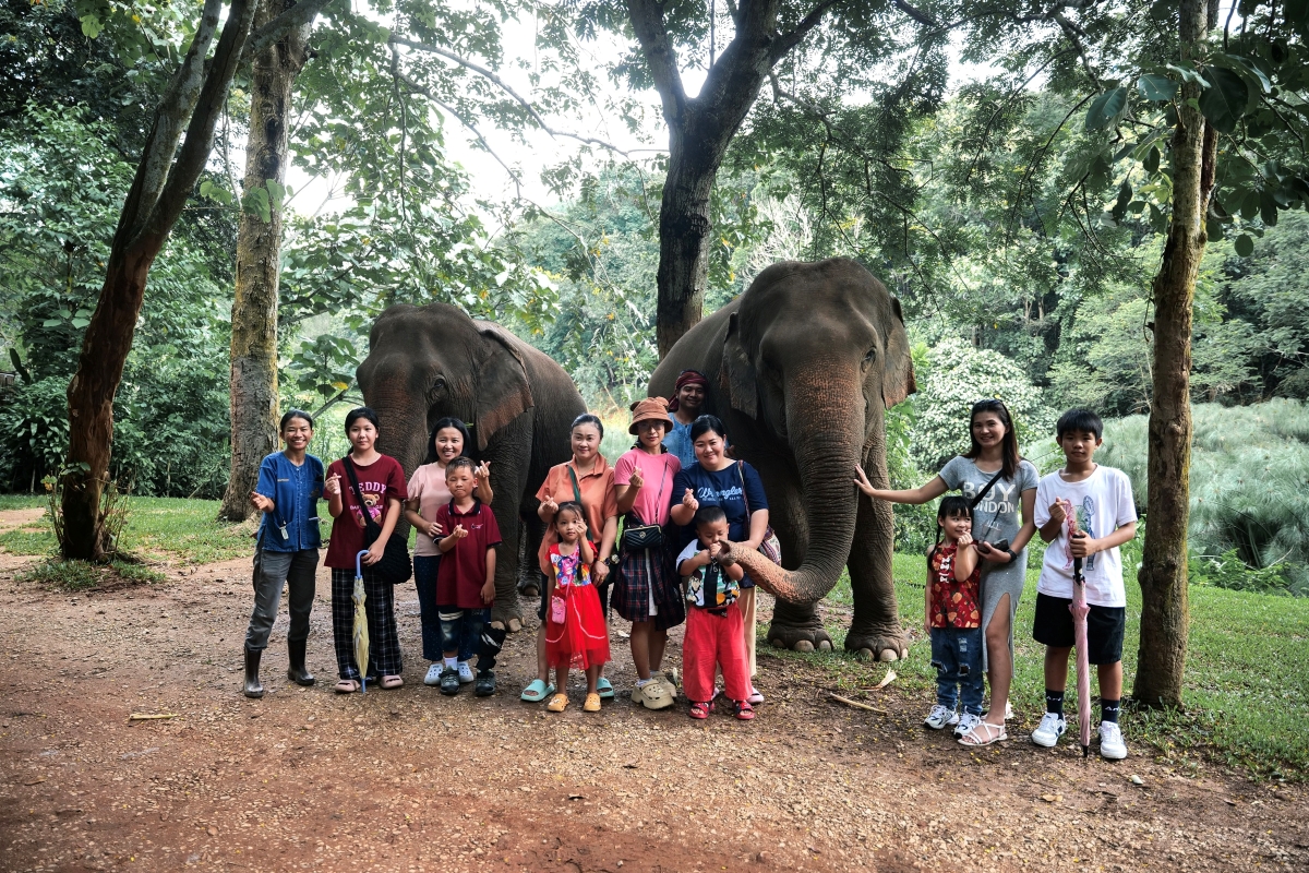 Anantara Golden Triangle Marks World Elephant Day with Educational Activities and Cultural Tributes