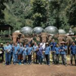 Anantara Golden Triangle Celebrates World Elephant Day with 3 Heartfelt Tributes to Mothers and Gentle Giants