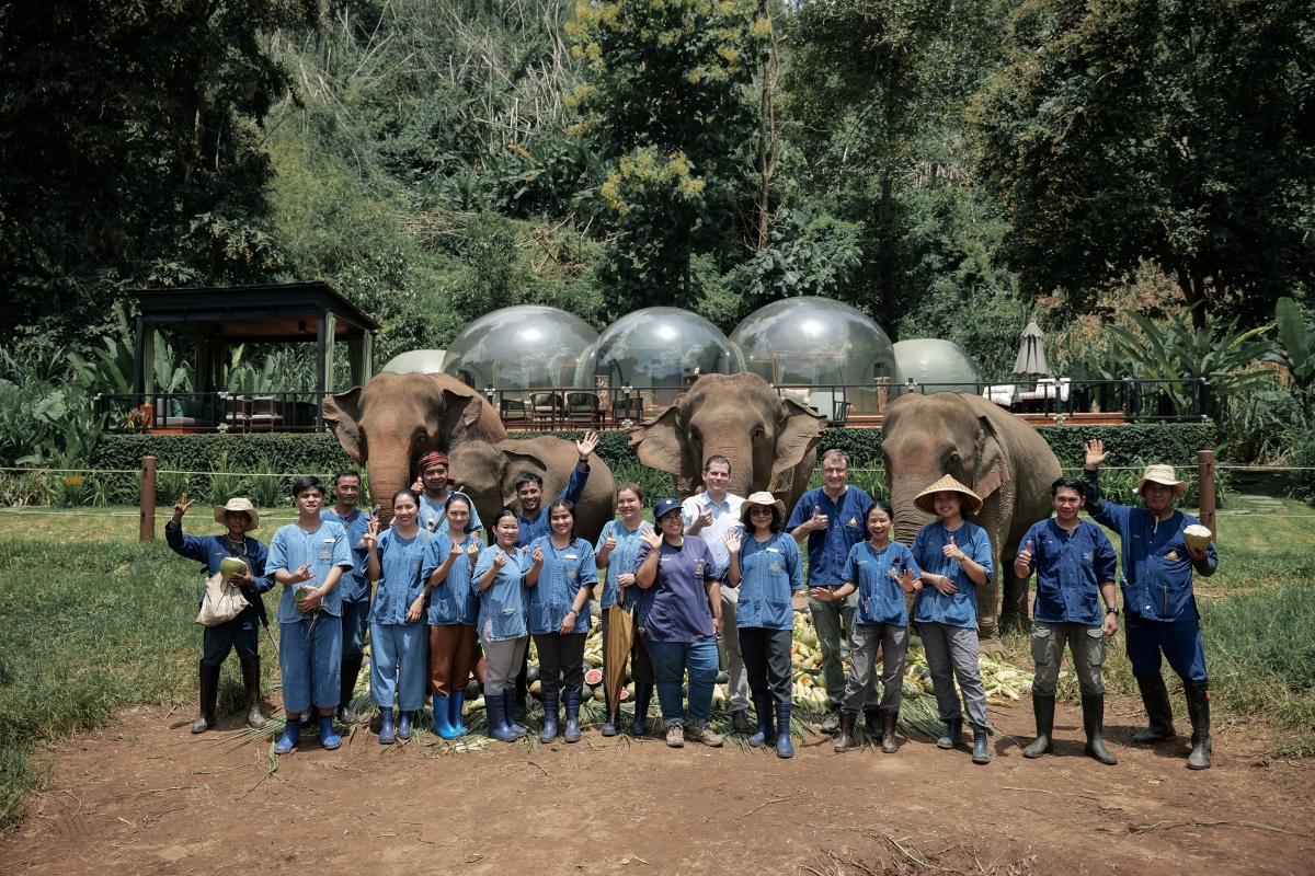 Anantara Golden Triangle Celebrates World Elephant Day with 3 Heartfelt Tributes to Mothers and Gentle Giants