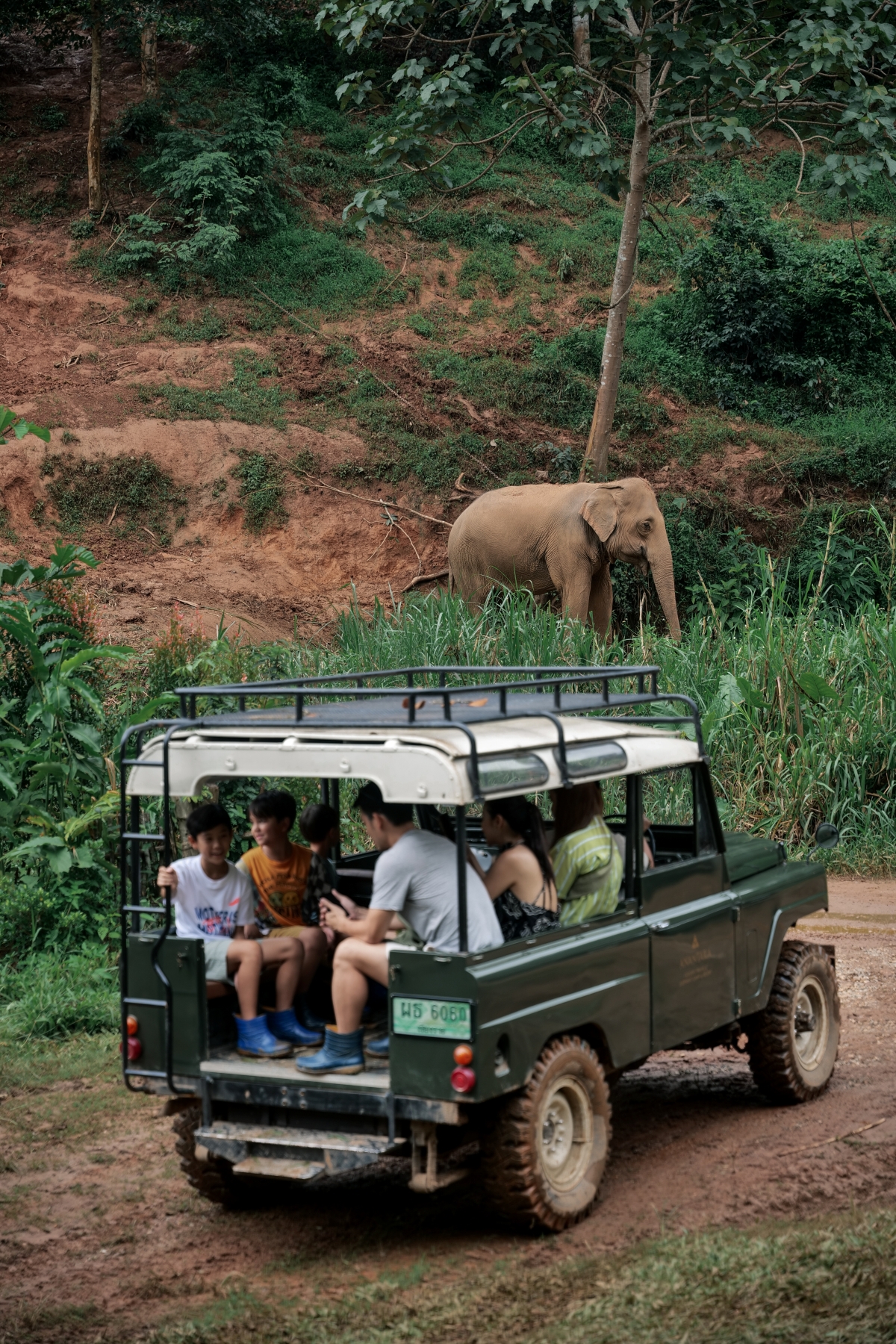 Anantara Golden Triangle Marks World Elephant Day with Educational Activities and Cultural Tributes