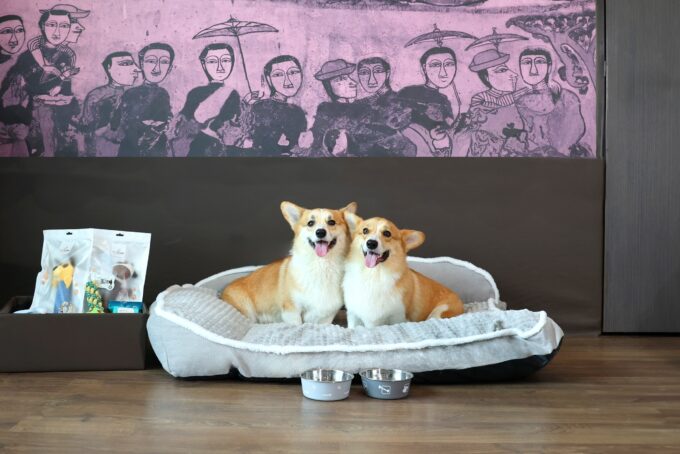 Avani Hotels & Resorts Celebrates International Dog Day Across Thailand