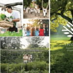 Dusit to Manage Tantawan Tented Camp in Chiang Rai Under ‘Tree of Life’ Vision