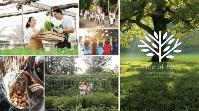 Dusit to Manage Tantawan Tented Camp in Chiang Rai Under ‘Tree of Life’ Vision