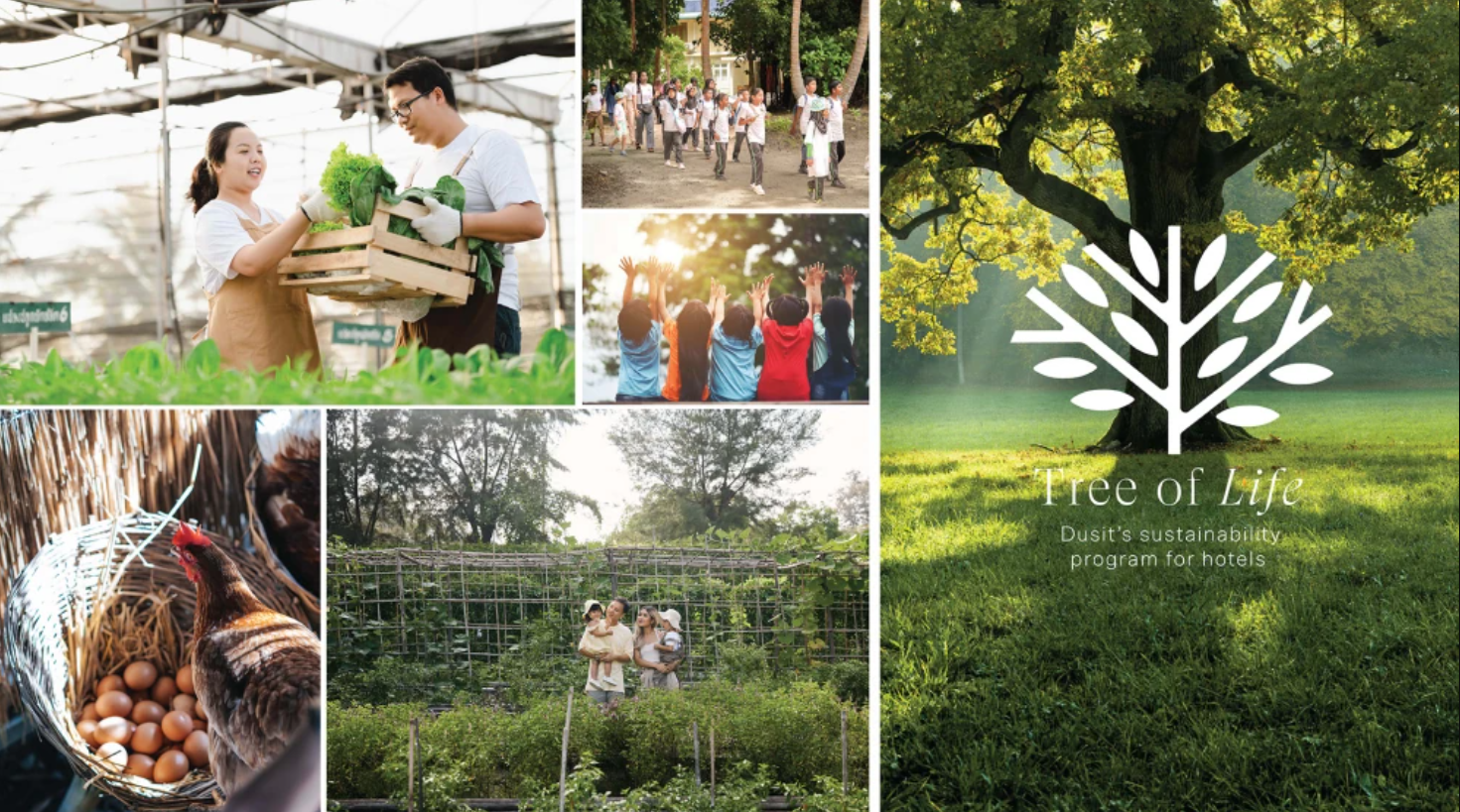 Dusit to Manage Tantawan Tented Camp in Chiang Rai Under ‘Tree of Life’ Vision
