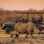 Anantara Stanley & Livingstone Marks World Rhino Day on Sept 22