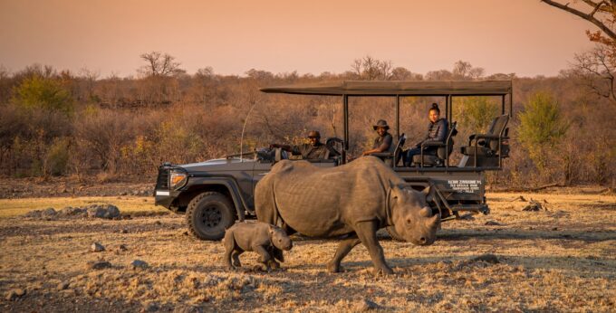 Anantara Stanley & Livingstone Marks World Rhino Day on Sept 22