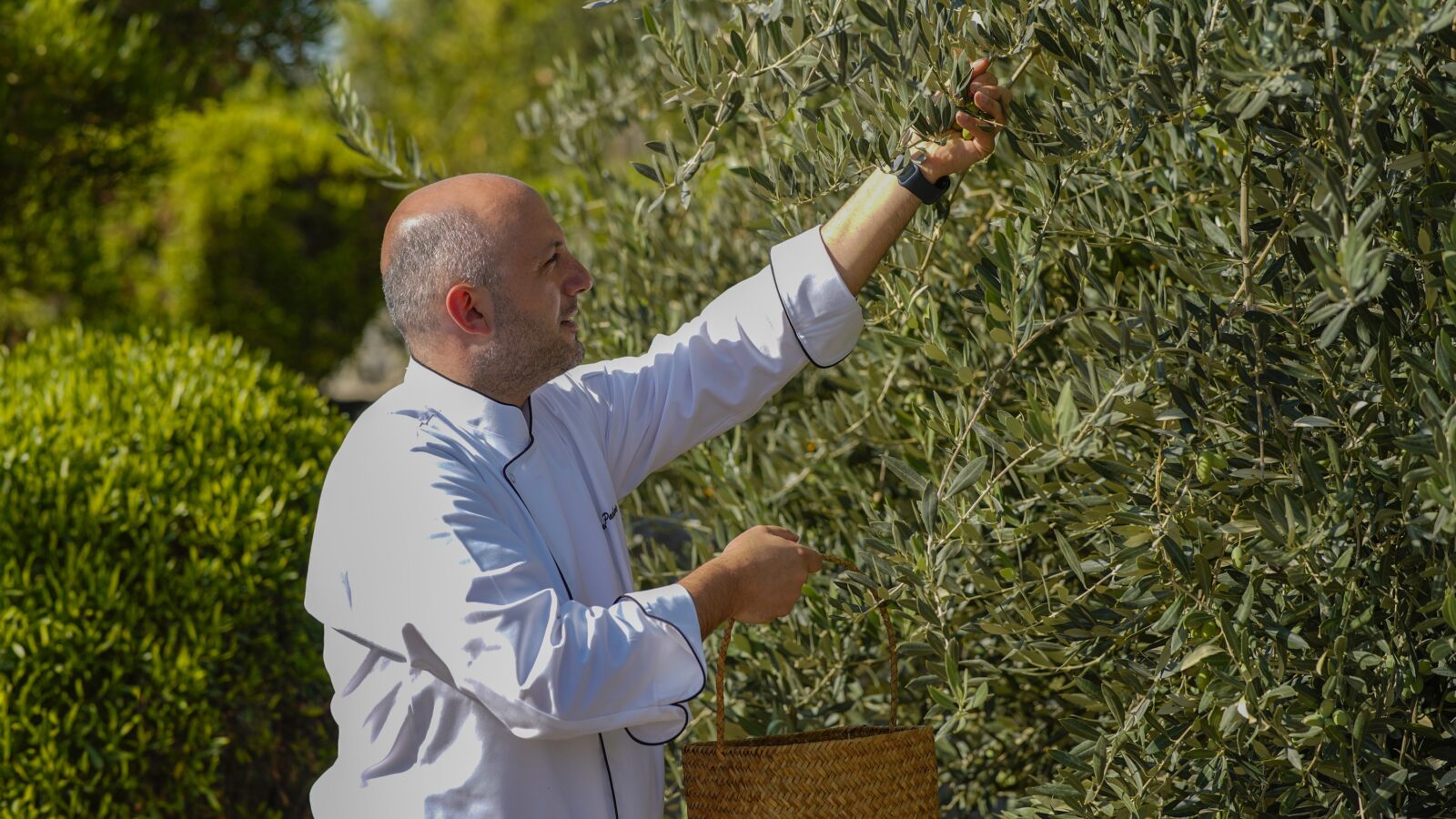 Olive Harvest Festival Returns to Anantara Al Jabal Al Akhdar