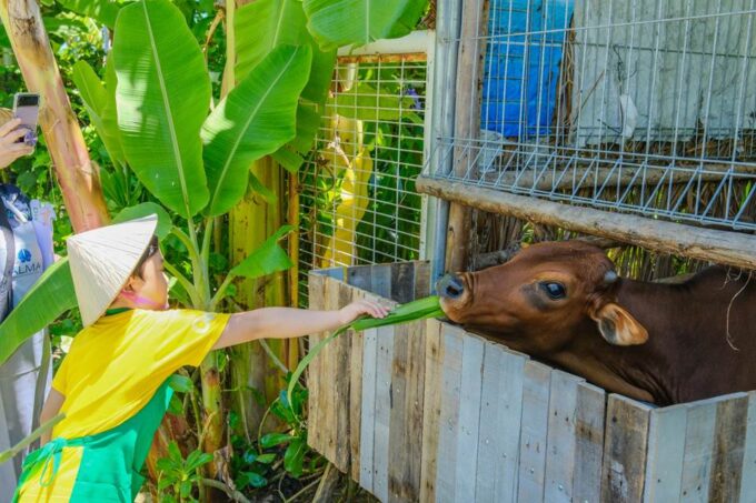 Alma Resort Vietnam Unveils Family-Focused ‘Discovery Camp’