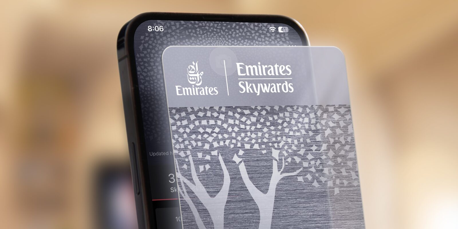 Emirates to Auction Limited Skywards Platinum Memberships for Charity