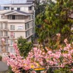 Sterling Launches Sterling Mount Olive Gangtok in North East India