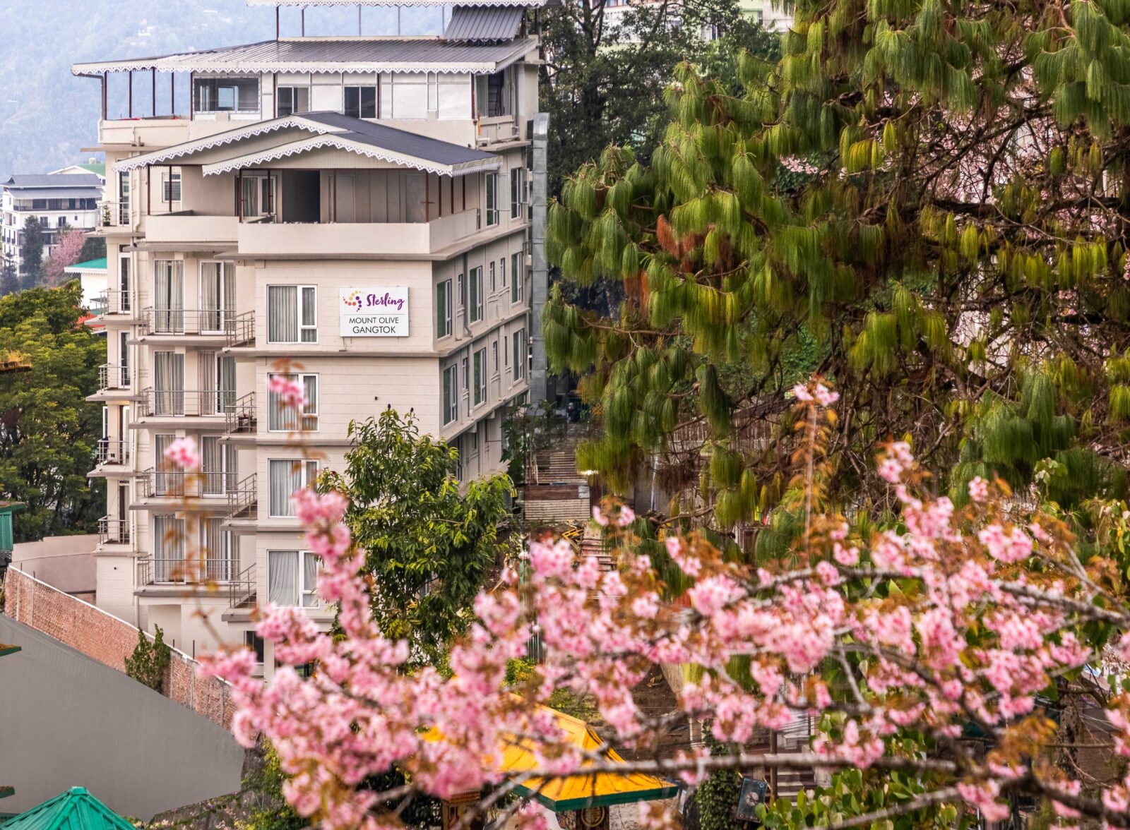 Sterling Launches Sterling Mount Olive Gangtok in North East India