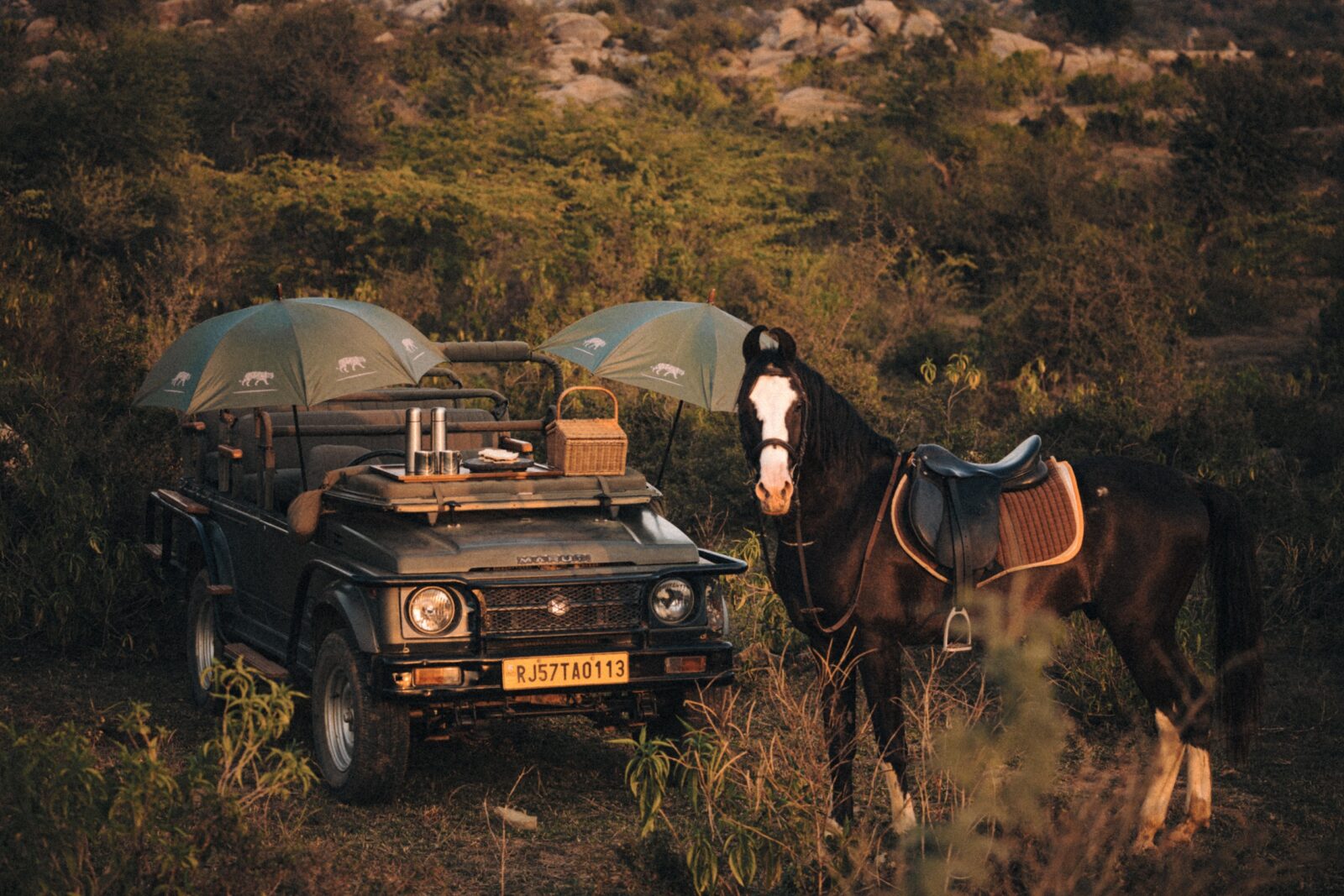 Equestrian