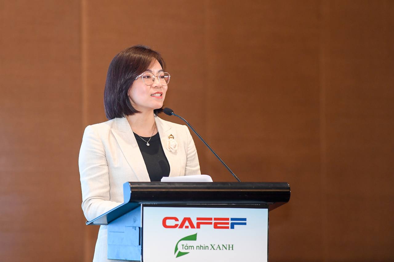 Nguyen Vu Quynh Anh, Deputy CEO of Sun Group and CEO
