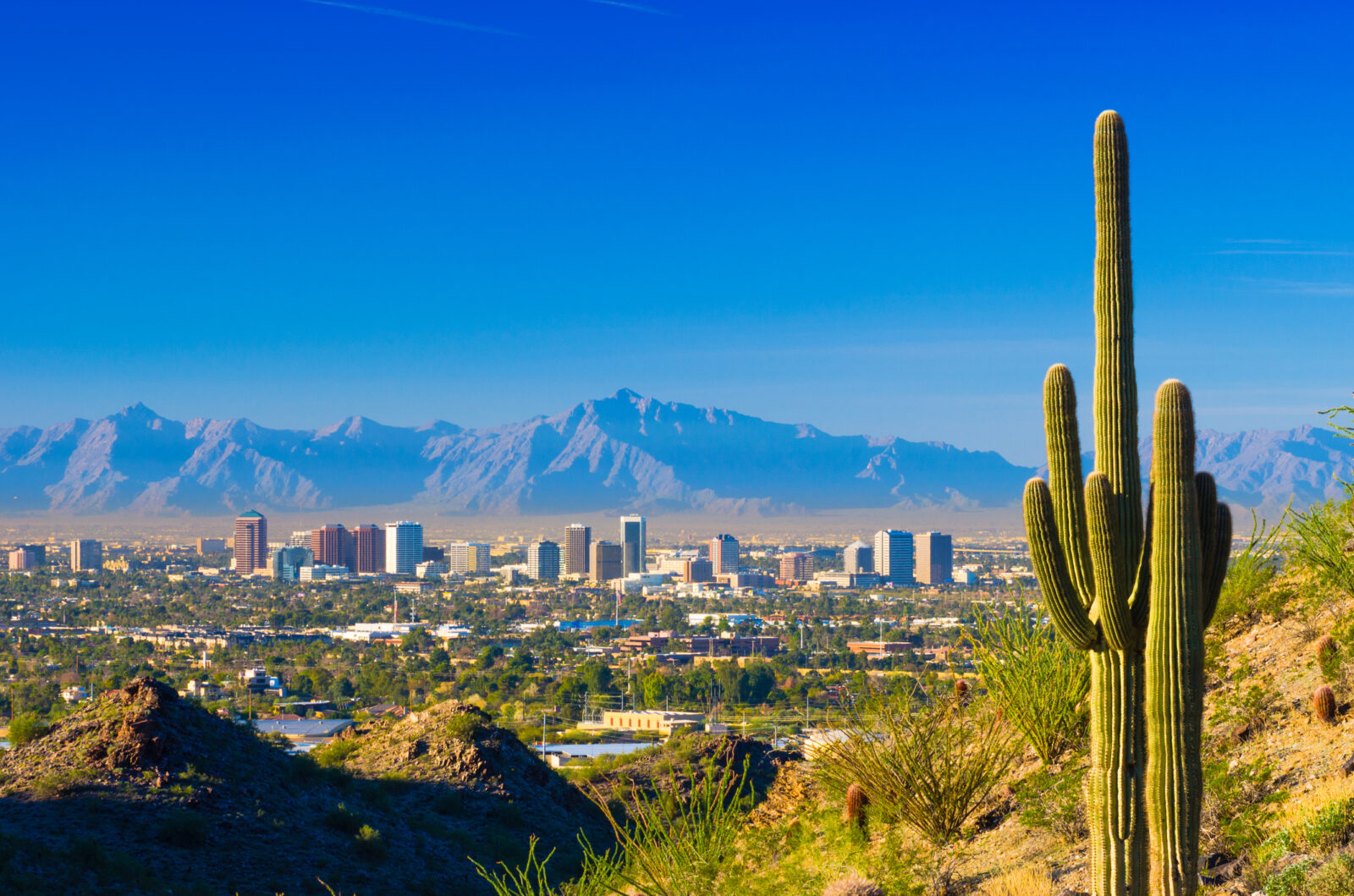 Delta Adds Phoenix Flights, Expands Bozeman Service from Austin