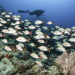 Centara Introduces Cultural and Nature Experiences Across Asia and Maldives