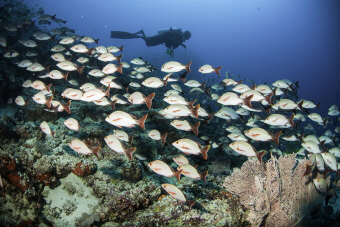 Centara Introduces Cultural and Nature Experiences Across Asia and Maldives