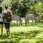 Avani Hotels & Resorts Refreshes Resort at Victoria Falls