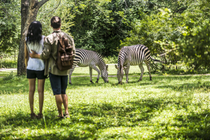 Avani Hotels & Resorts Refreshes Resort at Victoria Falls