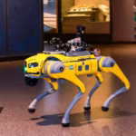 Robodog
