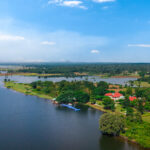 Sayaji Hotels Launches The Forest Chapter Brand