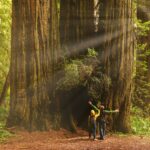IHCL Highlights Resource Management Commitment on Earth Day