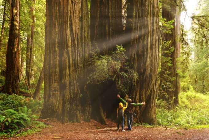 IHCL Highlights Resource Management Commitment on Earth Day