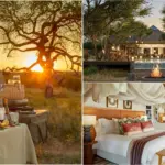 Taj Bush Lodge Opens in South Africa’s Greater Kruger