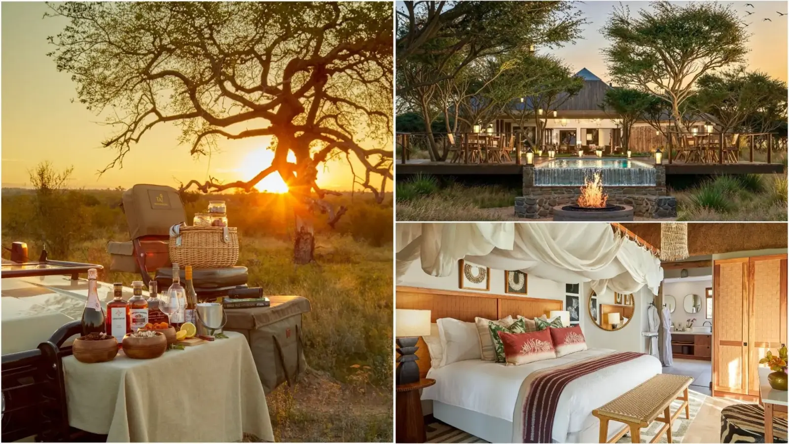 Taj Bush Lodge Opens in South Africa’s Greater Kruger