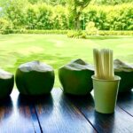 The Anam Cam Ranh Launches Coconut Harvesting Experience