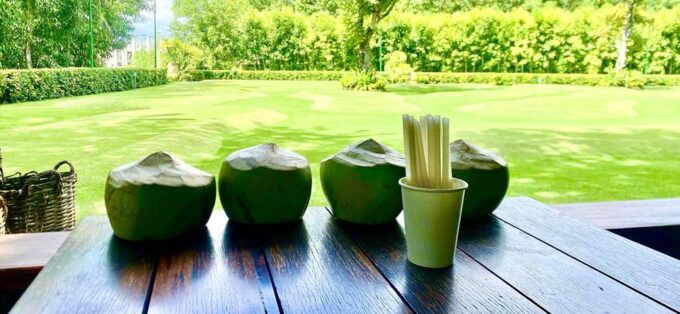 The Anam Cam Ranh Launches Coconut Harvesting Experience