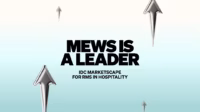 Mews