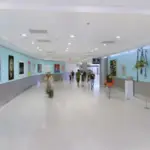 Miami Airport
