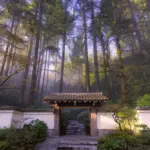 Alaska Airlines Partners with Portland Japanese Garden
