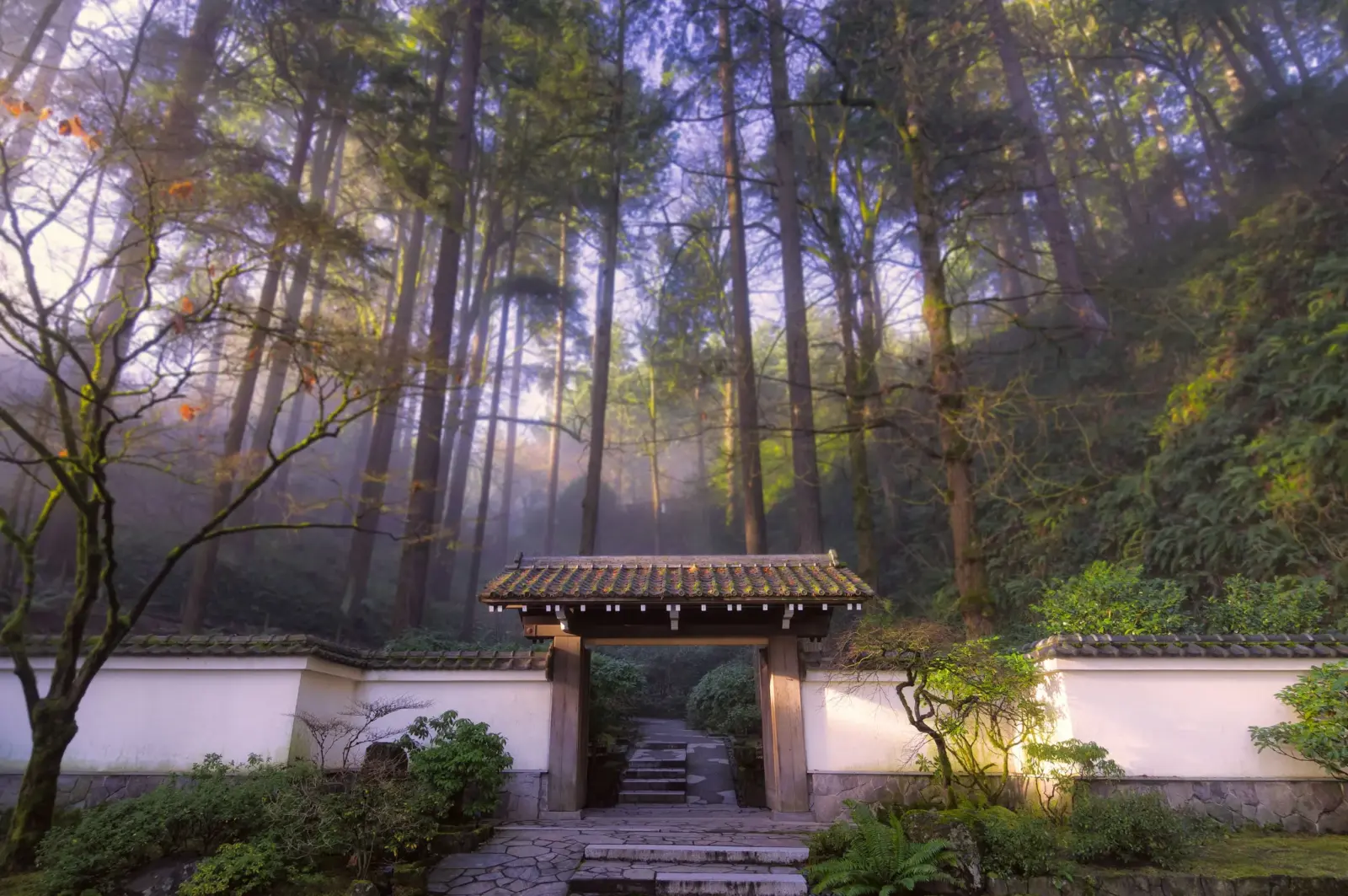 Alaska Airlines Partners with Portland Japanese Garden