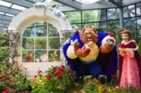Disney Garden of Wonder Returns to Gardens by the Bay