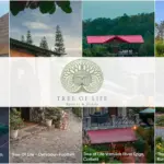 IHCL Signs New Tree of Life Resort in Odisha