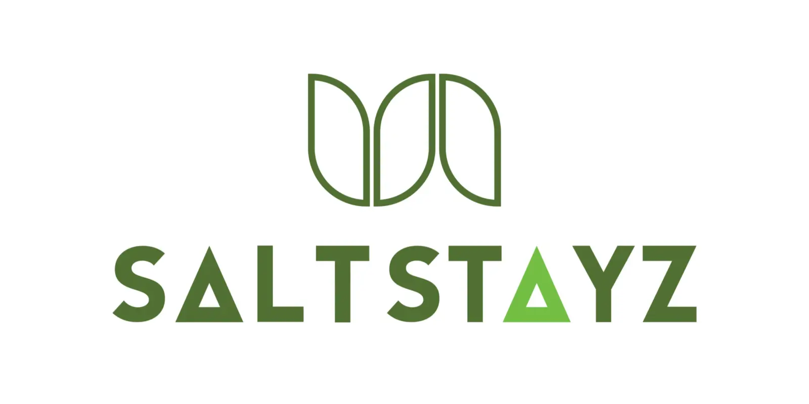 Saltstayz Reports ₹99.7 Crore Revenue, Targets ₹1,500 Crore by FY30