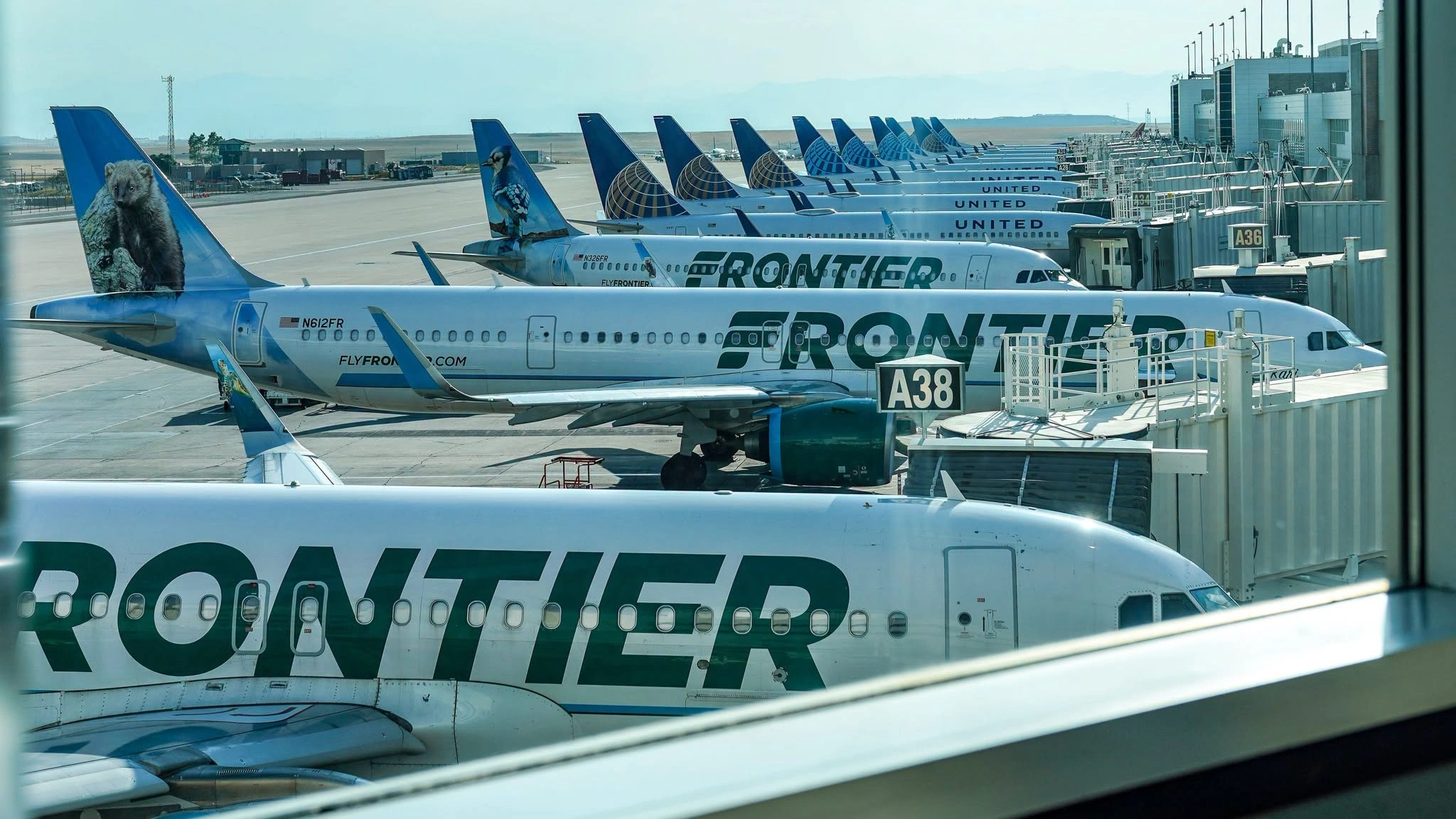Frontier Airlines