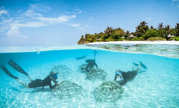 Four Seasons Maldives Marks World Conservation Day